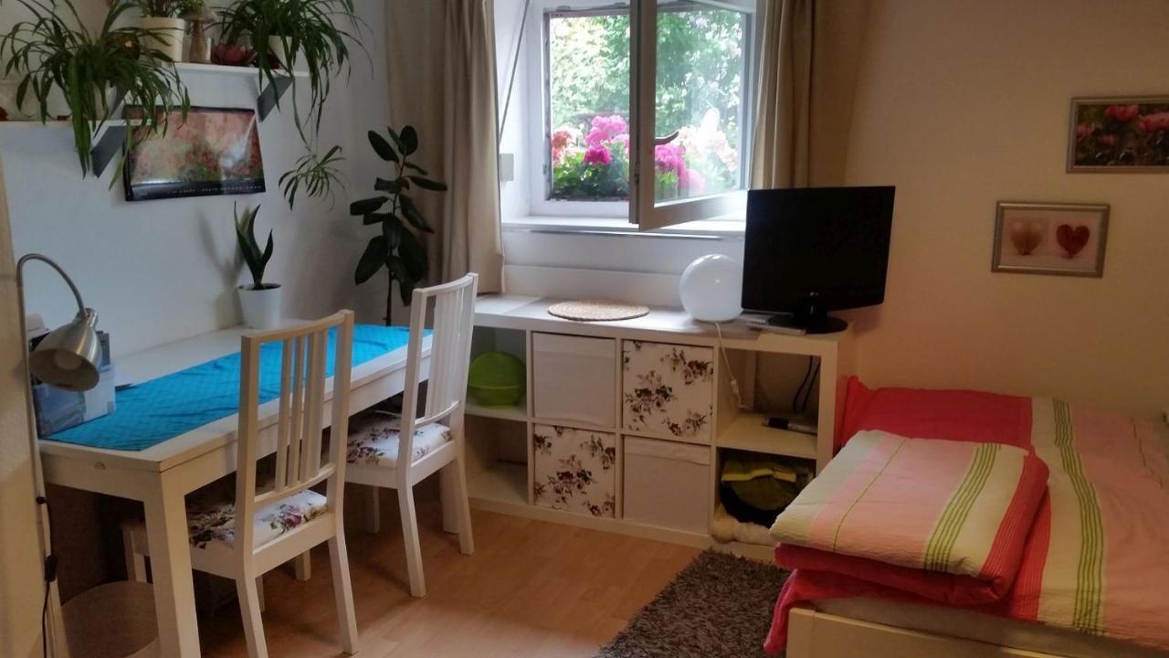 Ferienwohnung Am Berg, 35Qm Rickenbach  Exterior photo